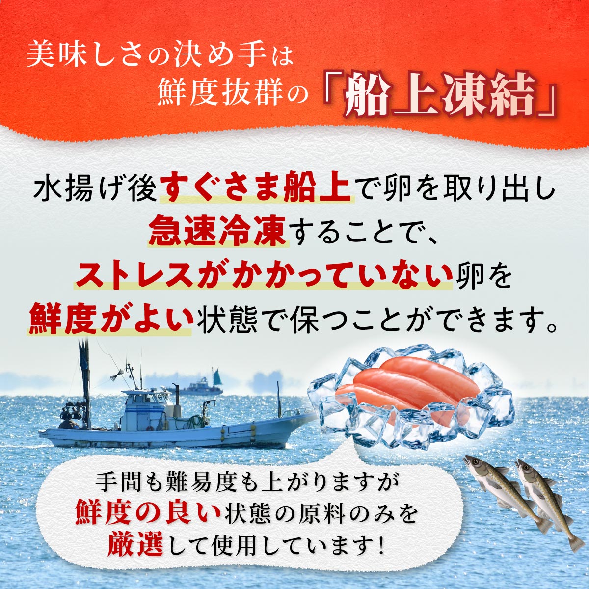 【ふるさと納税】 辛子明太子 選べる量 500g / 1kg / 2kg おすすめ 人気 冷凍 個包装 小分け 大容量 明太子 めんたいこ 海鮮 魚卵 ご飯のお供 お取り寄せ グルメ 食べ物 おつまみ ギフト 家庭用 贈答用 北海道 白糠町 白糠 送料無料 - 画像3