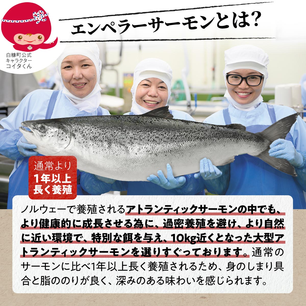 【ふるさと納税】 貴重！エンペラーサーモンの希少部位！ 1kg（約15枚入） 腹ビレ肉 通称「グリ」 1尾から2個しか取れない 脂乗り抜群 ふるさと納税 魚 ハラス 鮭ハラス 鮭 サーモン サケ シャケ おかず おにぎり ふるさと 人気 ランキング 北海道 白糠町 サムネイル2