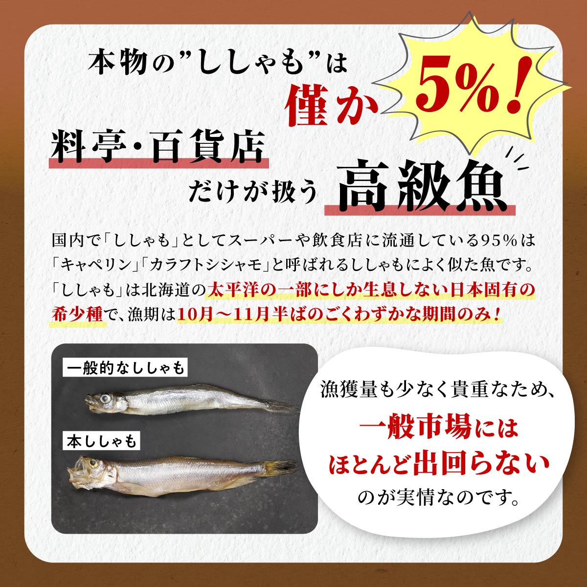 【ふるさと納税】高評価★4.11 北海道産 本ししゃも オス メス 【計10尾～60尾】 選べる 海鮮 ふるさと納税 魚 ししゃも シシャモ 柳葉魚 しらぬか産 国産 魚介 高級 干物 惣菜 子持ち グルメ 食べ物 人気 ランキング 冷凍 北海道 白糠町 サムネイル2