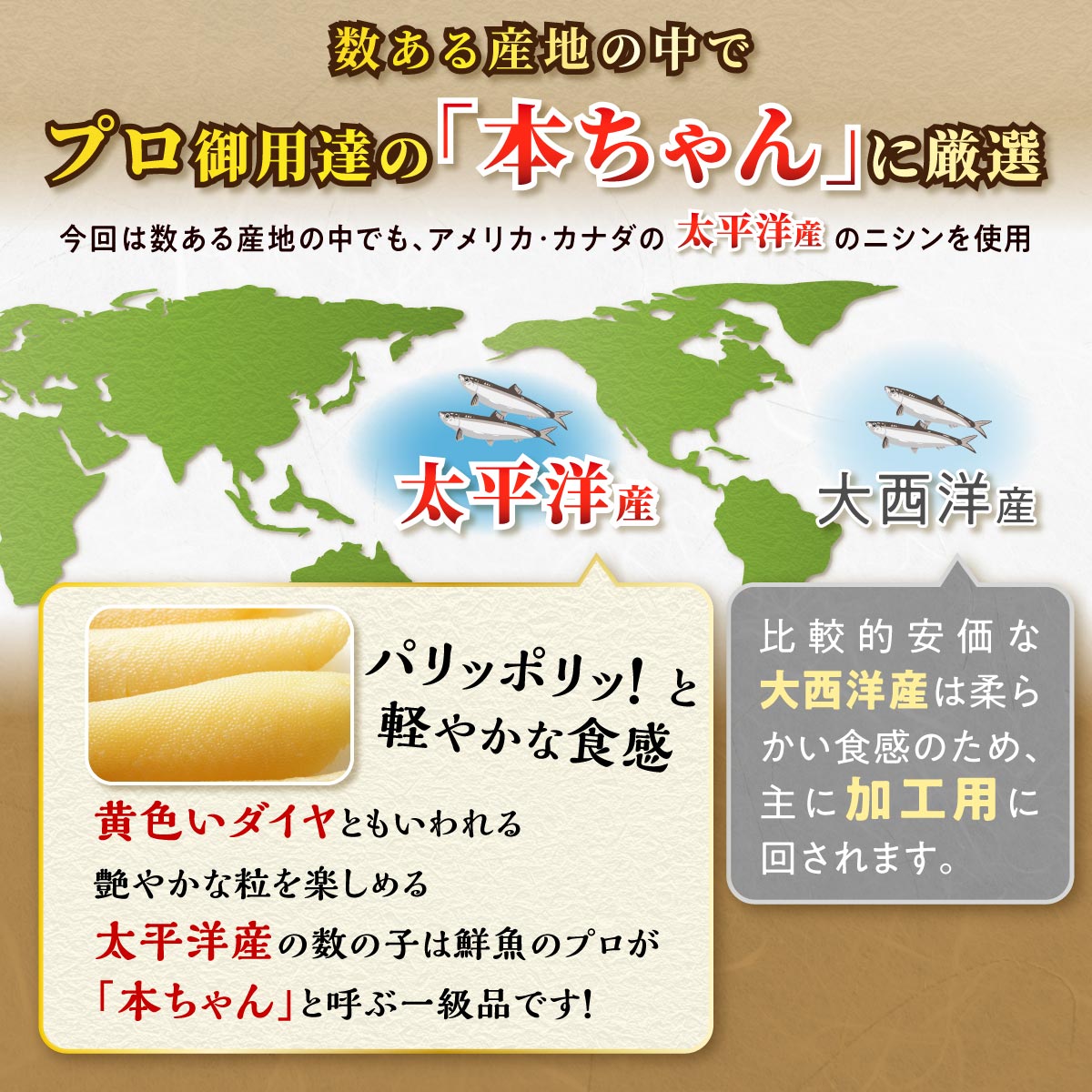 【ふるさと納税】大手百貨店も扱う品質 数の子 味付け 500g 味付け数の子 ふるさと納税 かずのこ つまみ 海鮮 寿司 わさび漬け 松前漬け お祝い おせち お正月 人気 グルメ 食べ物 魚卵 魚 魚介 年末年始 北海道 白糠町 白糠 大手百貨店も扱う品質 - 画像3