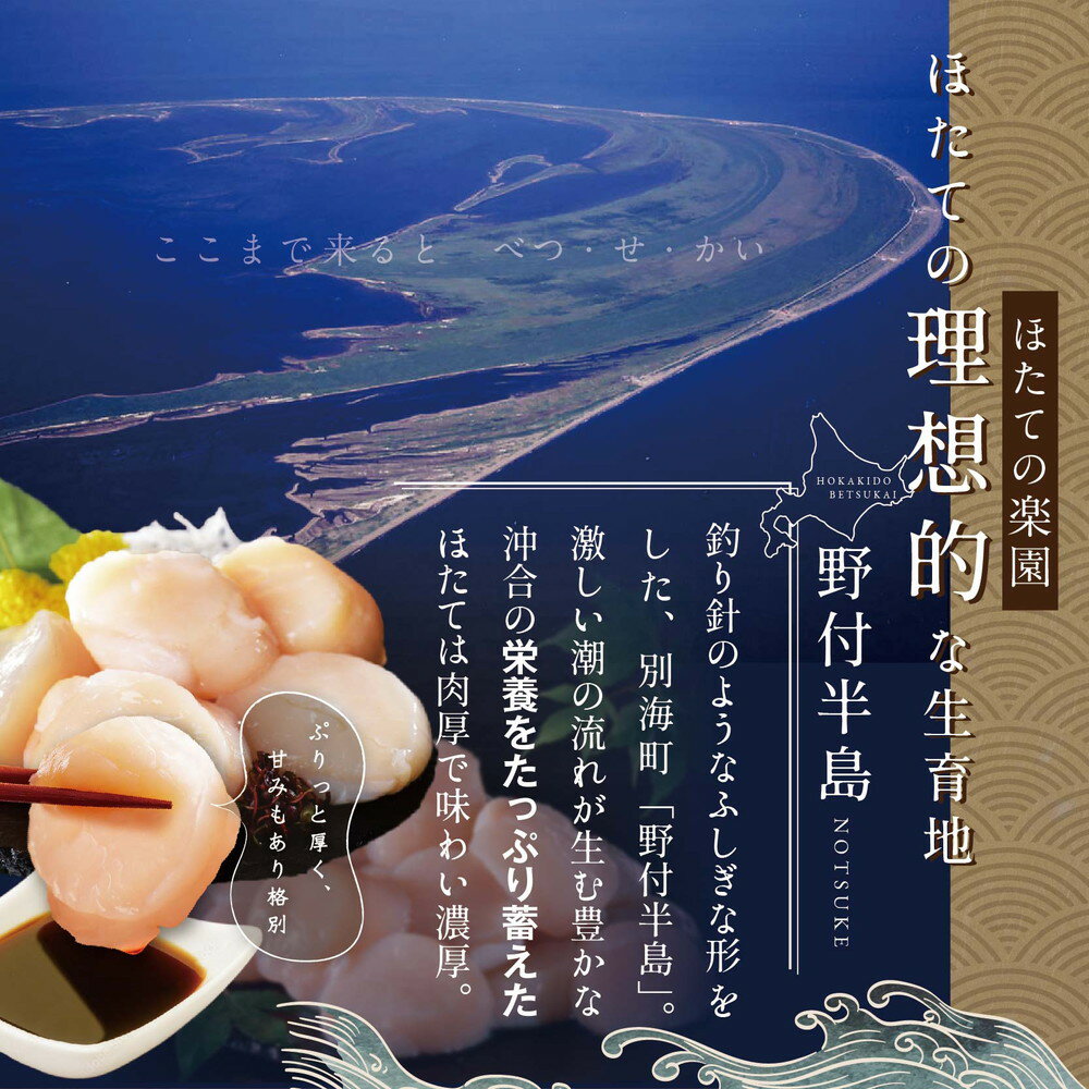 【ふるさと納税】 ホタテ 貝柱 500g（13～15玉前後） 北海道 別海町 野付産 冷凍 （ ふるさと納税 ホタテ ふるさと納税 帆立 ふるさと納税 訳あり ホタテ貝柱 貝柱 貝 海鮮 北海道 別海町 冷凍 ） - 画像2