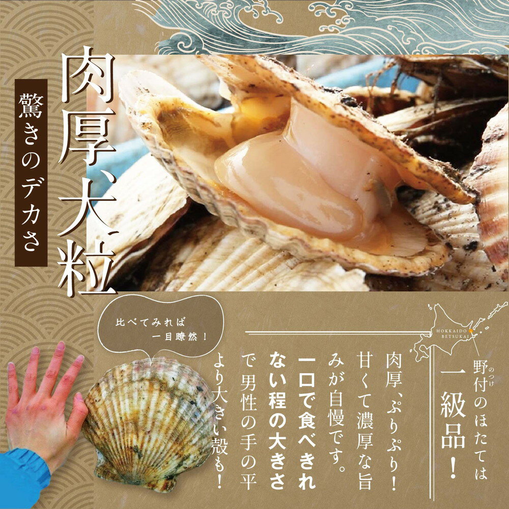 【ふるさと納税】 ホタテ 貝柱 500g（13～15玉前後） 北海道 別海町 野付産 冷凍 （ ふるさと納税 ホタテ ふるさと納税 帆立 ふるさと納税 訳あり ホタテ貝柱 貝柱 貝 海鮮 北海道 別海町 冷凍 ） - 画像3