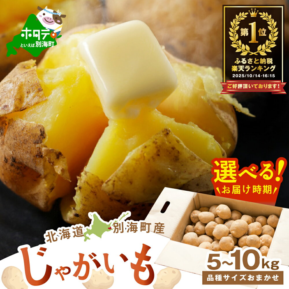 じゃがいも 5kg ～ 10kg 【選べる内容量】 北海道 別海町産 品種おまかせ サイズ 不揃い （ きたあかり 男爵 メークイーン レッドムーン ）（ ふるさと納税 ジャガイモ 訳あり 不揃い 規格外 ふるさと 芋 いも 人気 ランキング 別海町 ）