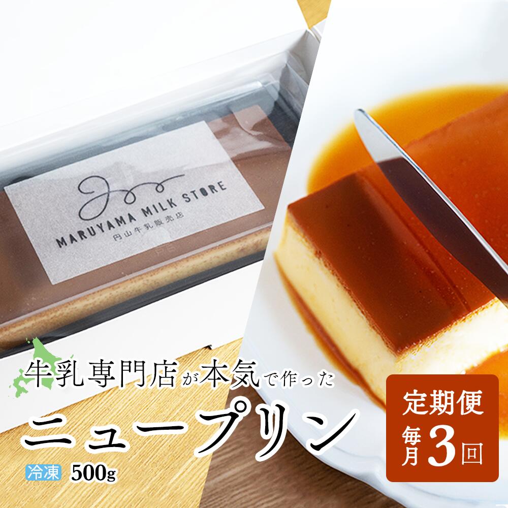 【ふるさと納税】【定期便】濃厚プリン New Pudding（ニュープディング）（500g×1本）×3ヶ月【be152-0931-100-3】