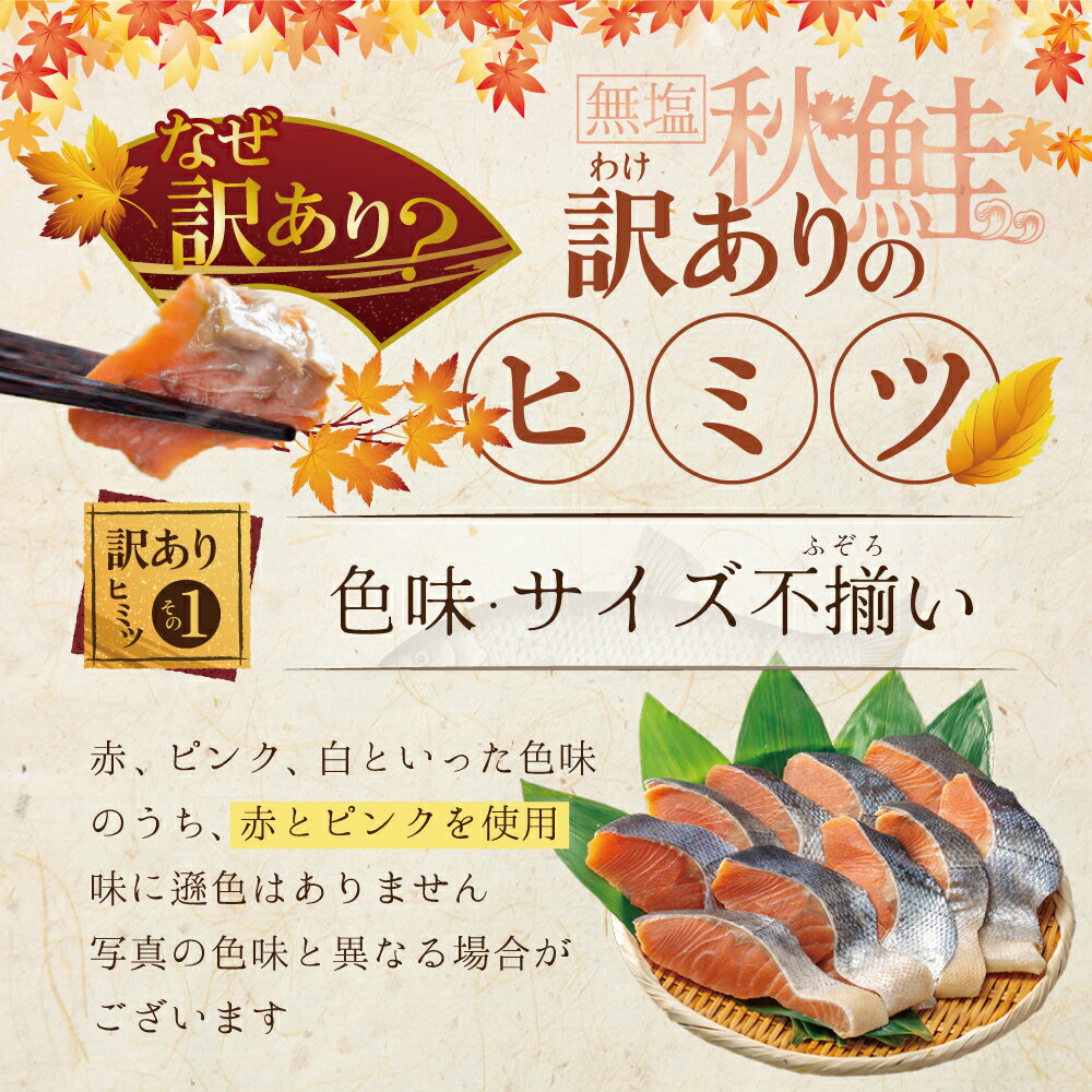 【ふるさと納税】 高評価★4.54 秋鮭 切り身 ( 無塩 )【 内容量が選べる1.4kg ～ 5.6kg】（ ふるさと納税 鮭 ふるさと納税 秋鮭 サケ ふるさと納税 シャケ ふるさと納税 鮭 切り身 北海道 別海町 ふるさと 海鮮 魚 切身 ふるさと納税 訳あり ふるさと 不揃い 北海道別海町 ） サムネイル3