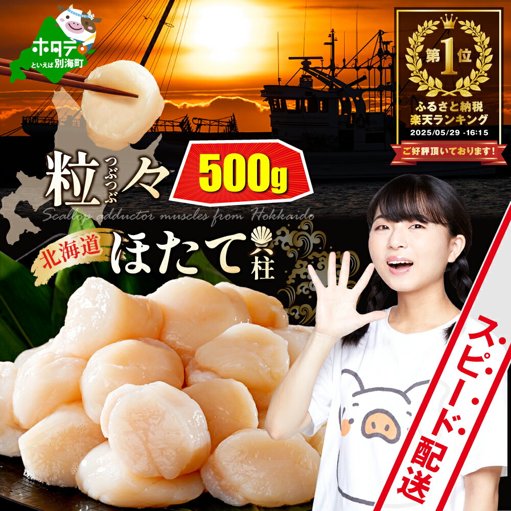 高評価★4.8 ホタテ貝柱 500g 【 発送時期が選べる 】（ ふるさと納税 ホタテ 訳あり ふるさと納税 帆立 ふるさと納税 ホタテ貝柱 ふるさと納税 訳あり 不揃い ホタテ玉冷 刺身 ほたて 人気 わけあり ふるさと ホタテ 貝柱 貝 北海道 別海町 ）
