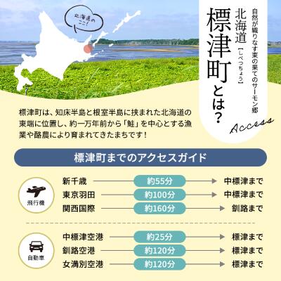 【ふるさと納税】北海道標津町の対象施設で使える楽天トラベルクーポン 寄付額40,000円（クーポン額12,000円） サムネイル2