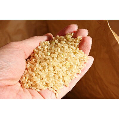 【ふるさと納税】【五つ星お米マイスター厳選】青森県産　天匠米あさゆき　白米5kg_A2-868【1132700】 - 画像3