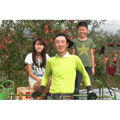 【ふるさと納税】【百年続く青森のりんご農家直送】葉とらずサンふじ　約10kg　贈答用【12月から発送開始】【配送不可地域：離島】【1170122】 サムネイル2