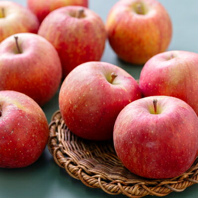 【ふるさと納税】青森市産りんご「葉取らずサンふじ」約5kg(家庭用)【配送不可地域：離島・沖縄県】【1272641】 サムネイル3