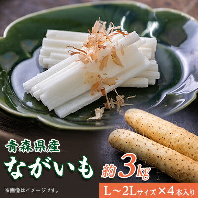 青森県産「ながいも」約3kg(L～2Lサイズ)×4本入り)【1338374】