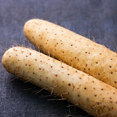 【ふるさと納税】青森県産「ながいも」約3kg(L～2Lサイズ)×4本入り)【1338374】 - 画像2