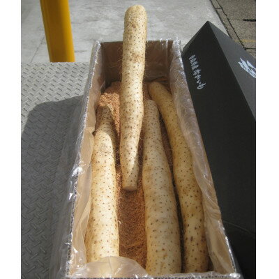 【ふるさと納税】青森県産「ながいも」約5kg(3L～4Lサイズ×4本入り)【1338390】 - 画像2