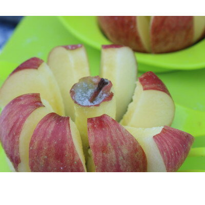 【ふるさと納税】【令和7年産先行予約】お楽しみ♪青森県産りんご「サンふじ」他 食べ比べセット【離島・沖縄配送不可】【配送不可地域：離島・沖縄県】【1423600】 サムネイル3