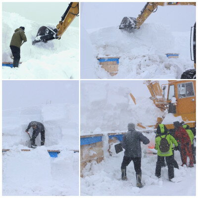 【ふるさと納税】【2026年3月発】希少なりんご!　青森雪貯蔵りんご(サンふじ)　3kg箱【離島・沖縄配送不可】【配送不可地域：離島・沖縄県】【1423601】 サムネイル3