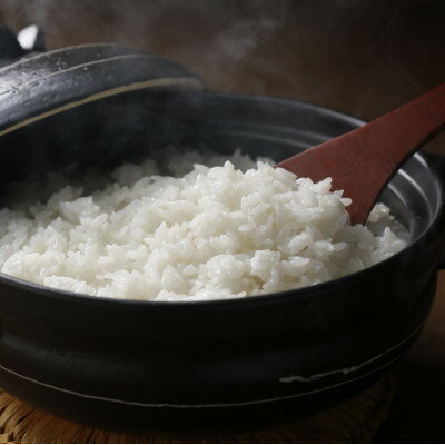 【ふるさと納税】【さつき米】青森県産米「青天の霹靂」白米 5kg【1489641】 - 画像2