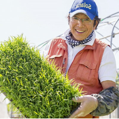【ふるさと納税】【さつき米】青森県産米「青天の霹靂」白米 5kg【1489641】 - 画像3