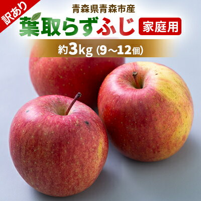 【訳あり】りんご 「葉取らずふじ」 (家庭用)約3kg(9～12個入り)【配送不可地域：離島】【1496471】