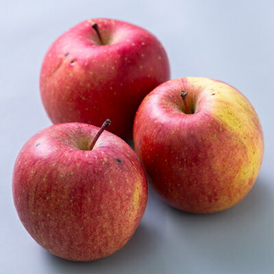 【ふるさと納税】【訳あり】りんご 「葉取らずふじ」 (家庭用)約3kg(9～12個入り)【配送不可地域：離島】【1496471】 サムネイル3