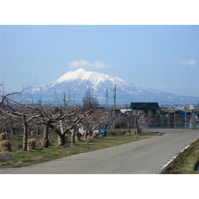 【ふるさと納税】【百年続く青森のりんご農家直送】葉とらずサンふじ 　約3kg　贈答用【12月から発送開始】【配送不可地域：離島】【1506061】 サムネイル3