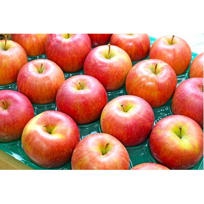 【ふるさと納税】【25年12月より順次発送】平均糖度13度以上! シナノスイート 約5kg 訳あり【配送不可地域：離島・沖縄県】【1608968】 サムネイル2