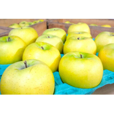 【ふるさと納税】平均糖度13度以上! シナノゴールド 約5kg おもてなし用 CA貯蔵 クール便【配送不可地域：離島・沖縄県】【1612908】 サムネイル2