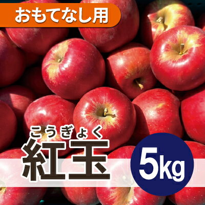 【26年4月出荷予定】紅玉 約5kg おもてなし用 CA貯蔵 クール便【配送不可地域：離島・沖縄県】【1612930】