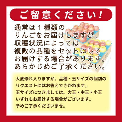 【ふるさと納税】りんご 品種おまかせ 約3kg 訳あり CA貯蔵 クール便【配送不可地域：離島・沖縄県】【1612943】 サムネイル3