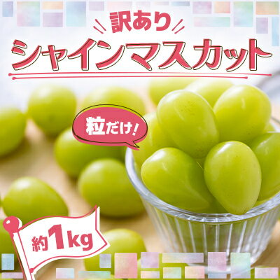 美味しさは「寒暖差」にあり 粒だけ!青森市産【訳あり】シャインマスカット(約1kg)【配送不可地域：離島】【1613276】