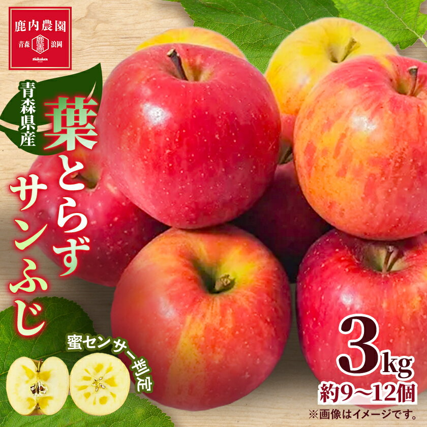 りんご 葉取らずふじ 蜜入判定 3kg (約9～12個)_ りんご 林檎 リンゴ ふじ フジ 果物 くだもの フルーツ 葉取らず 青森県 産地直送 送料無料 おすすめ 人気 お取り寄せ 贈答 ギフト プレゼント 常温 3kg 【配送不可地域：離島】【1085335】