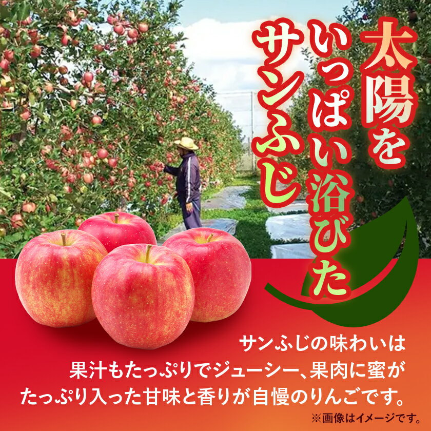 【ふるさと納税】りんご 葉取らずふじ 蜜入判定 3kg (約9～12個)_ りんご 林檎 リンゴ ふじ フジ 果物 くだもの フルーツ 葉取らず 青森県 産地直送 送料無料 おすすめ 人気 お取り寄せ 贈答 ギフト プレゼント 常温 3kg 【配送不可地域：離島】【1085335】 サムネイル2