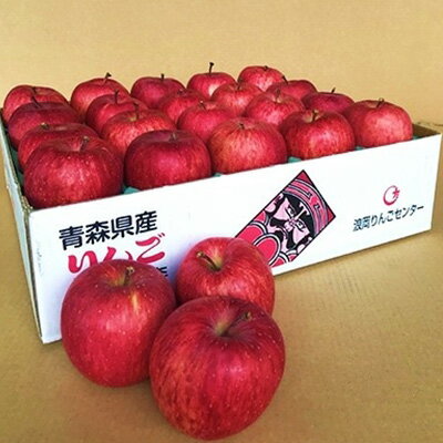【ふるさと納税】JA青森　青森県産りんご「サンふじ」約5kg【配送不可地域：離島】【1127895】 サムネイル2