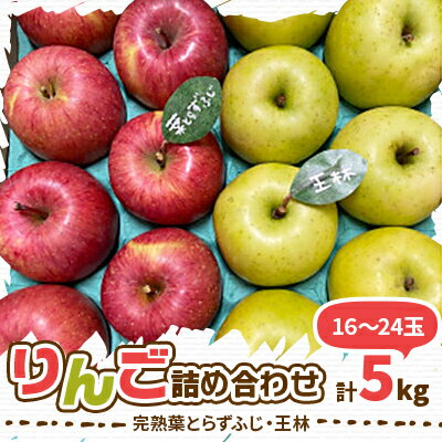 【2025年産】りんご 完熟葉とらずふじ・王林詰め合わせ 5kg (16～24玉)_ 青森県産 りんご リンゴ 林檎 果物 葉とらず 完熟 甘い 美味しい 人気 贈答 ギフト フルーツ 【配送不可地域：離島・沖縄県】【1181953】