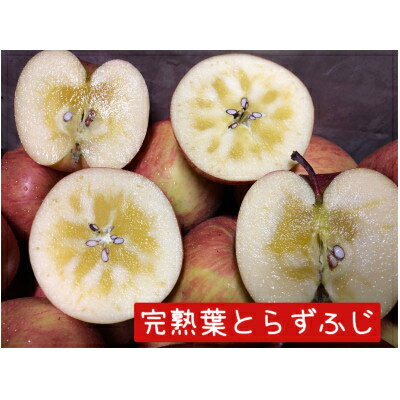 【ふるさと納税】【2025年産】りんご 完熟葉とらずふじ・王林詰め合わせ 5kg (16～24玉)_ 青森県産 りんご リンゴ 林檎 果物 葉とらず 完熟 甘い 美味しい 人気 贈答 ギフト フルーツ 【配送不可地域：離島・沖縄県】【1181953】 サムネイル3