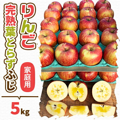 【2025年産】りんご 完熟葉とらずふじ 5kg (家庭用)_ 青森県産 りんご リンゴ 林檎 果物 葉とらず 完熟 甘い 美味しい 家庭用 人気 フルーツ 【配送不可地域：離島・沖縄県】【1181954】