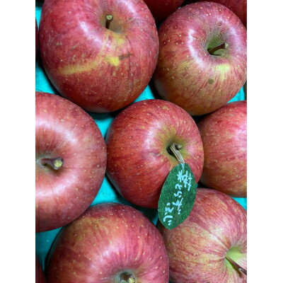 【ふるさと納税】【2025年産】りんご 完熟葉とらずふじ 5kg (家庭用)_ 青森県産 りんご リンゴ 林檎 果物 葉とらず 完熟 甘い 美味しい 家庭用 人気 フルーツ 【配送不可地域：離島・沖縄県】【1181954】 サムネイル3