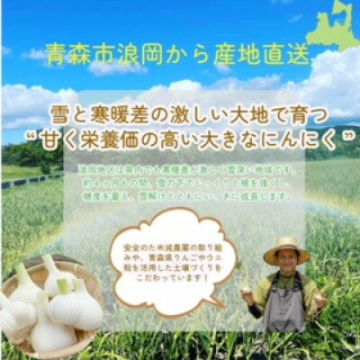 【ふるさと納税】青森県産黒にんにく　100g×5個【1389463】 - 画像2