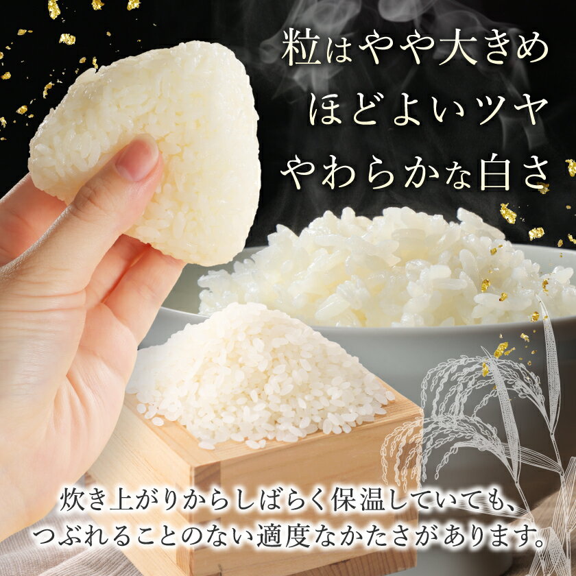 【ふるさと納税】【令和7年産】青森県産　青天の霹靂5kg(精米)_ 青森県産 米 お米 白米 コメ こめ 青森 ブランド米 美味しい 人気 ごはん 国産 ギフト 贈答 【1611411】 - 画像3