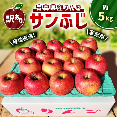 【訳あり】青森県産りんご「サンふじ家庭用」約5kg 産地直送!_ りんご リンゴ 林檎 サンふじ 訳あり 家庭用 青森県産 果物 フルーツ 美味しい 人気 産地直送 送料無料 【配送不可地域：離島】【1321109】