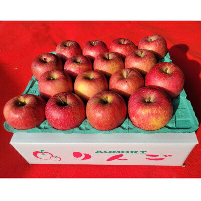 【ふるさと納税】【訳あり】青森県産りんご「サンふじ家庭用」約5kg 産地直送!_ りんご リンゴ 林檎 サンふじ 訳あり 家庭用 青森県産 果物 フルーツ 美味しい 人気 産地直送 送料無料 【配送不可地域：離島】【1321109】 サムネイル2