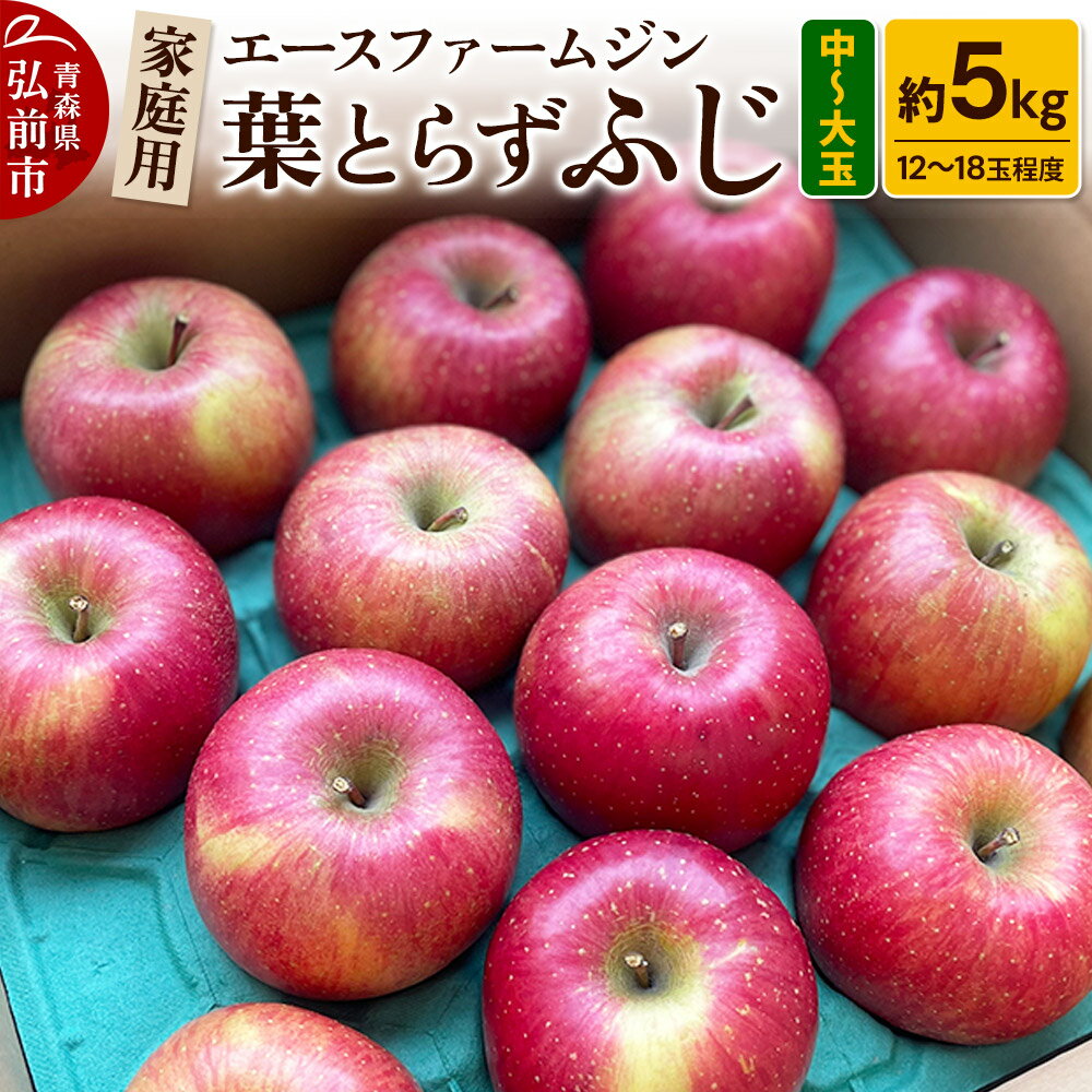 【25年11月〜発送】りんご【数量限定】家庭用 葉とらず ふじ 約5kg（中玉〜大玉12〜18玉程度）【先行受付】 青森 果物 フルーツ 林檎 リンゴ くだもの 予約