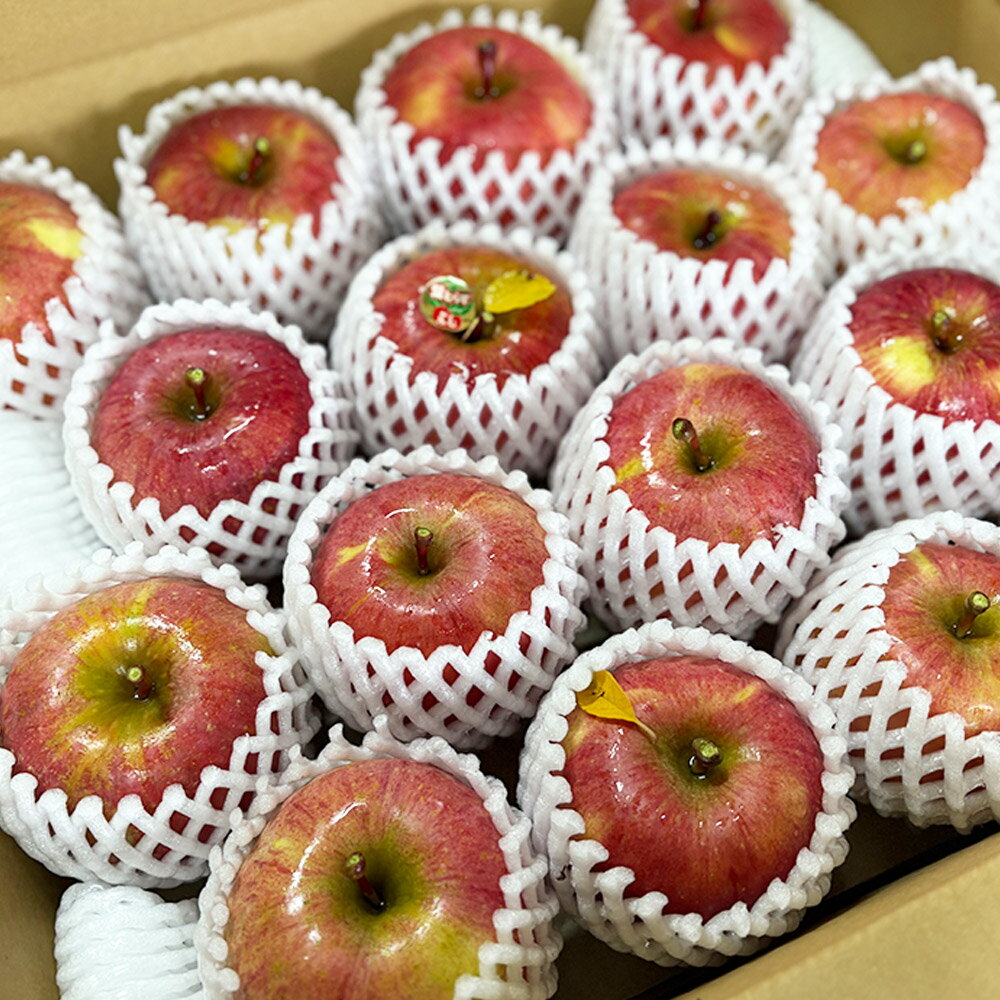 【ふるさと納税】 【25年11月〜発送】りんご【数量限定】家庭用 葉とらず ふじ 約5kg（中玉〜大玉12〜18玉程度）【先行受付】 青森 果物 フルーツ 林檎 リンゴ くだもの 予約 サムネイル2