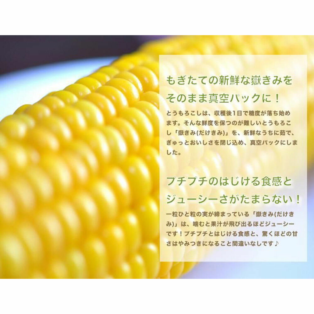 【ふるさと納税】【寄附金額見直しました】とうもろこし 嶽きみ真空パック 10本セット（L〜2Lサイズ） - 画像3