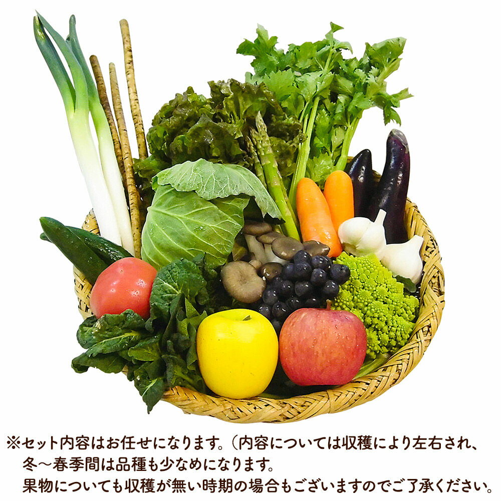 【ふるさと納税】【寄附金額見直しました】野市里からの贈り物（旬の野菜、加工品約10〜14種類程度） - 画像2