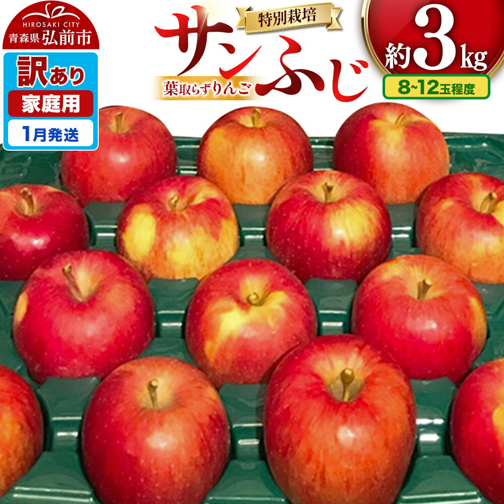 【26年1月発送】りんご 訳あり家庭用【年明け発送】葉取らず サンふじ 約3kg（8〜12玉程度）青森県特別栽培農産物認証農園