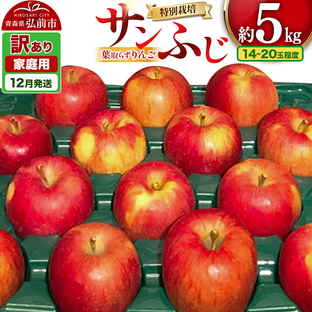 【25年12月発送】りんご 訳あり家庭用【年内発送】葉取らず サンふじ 約5kg（14〜20玉程度）青森県特別栽培農産物認証農園
