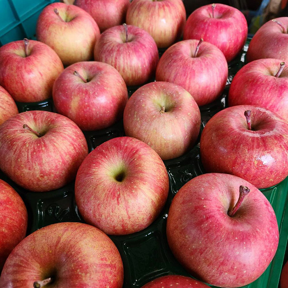 【ふるさと納税】【25年11月〜発送】りんご【家庭用】葉とらずサンふじ 約5kg 訳あり ちとせ村 サムネイル2