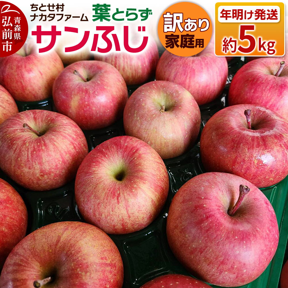 【26年1月〜発送】りんご 葉とらずサンふじ 約5kg 家庭用 訳あり ちとせ村