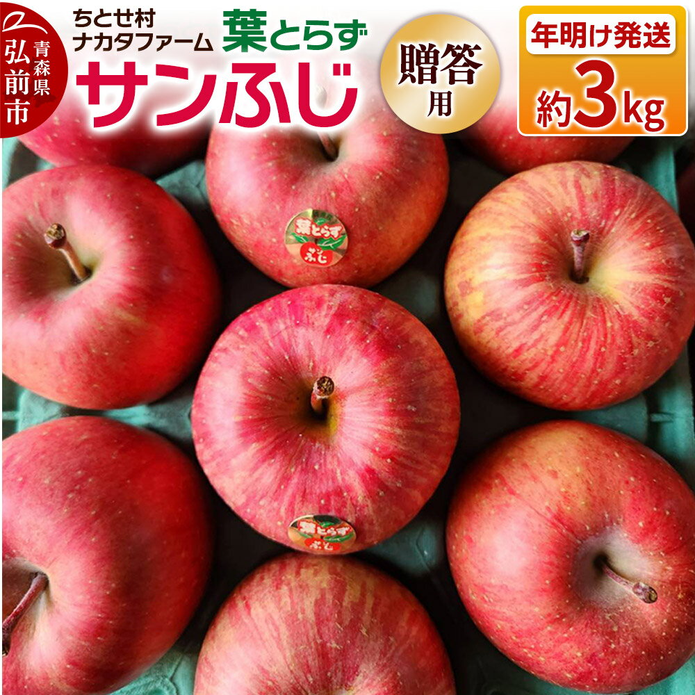 【26年1月〜発送】りんご 葉とらずサンふじ 約3kg 贈答用 ちとせ村