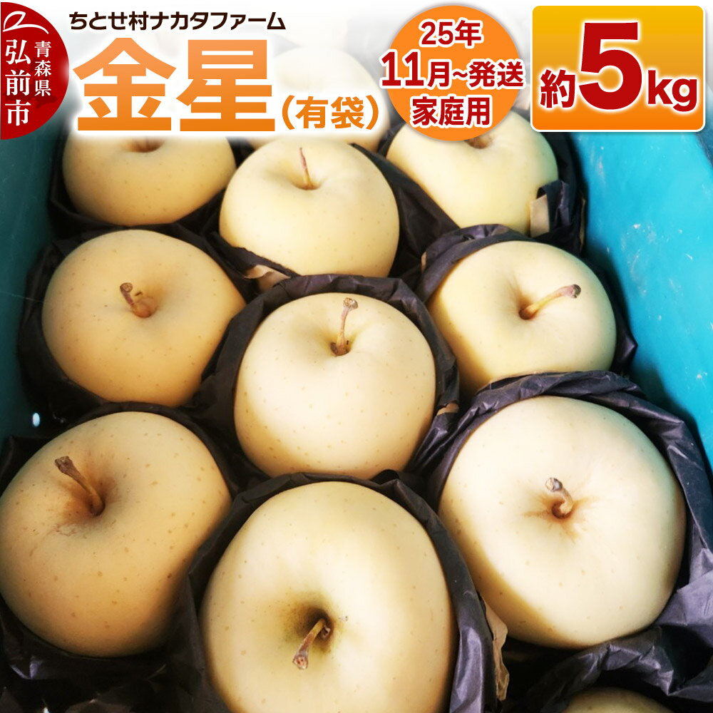【25年11月〜発送】りんご【家庭用】金星（有袋）約5kg
